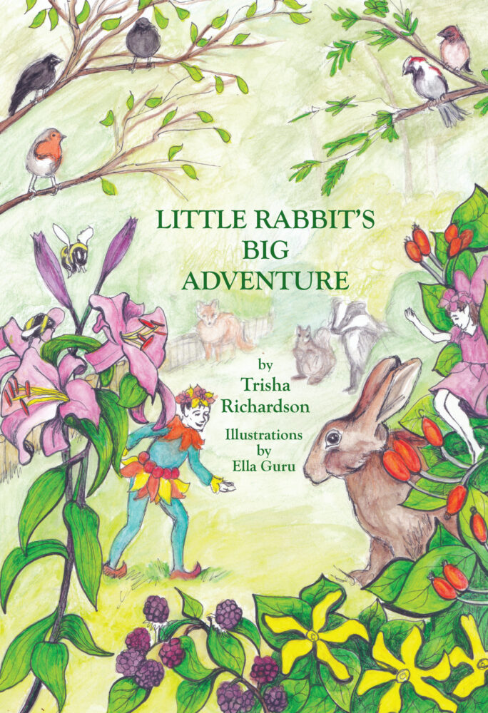 Little Rabbit's Big Adventure